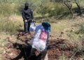 Localizan dos osamentas en la zona El Bellotoso en Nogales