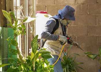 Casos confirmados de dengue en Sonora casi se duplican en 2026