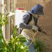 Casos confirmados de dengue en Sonora casi se duplican en 2026