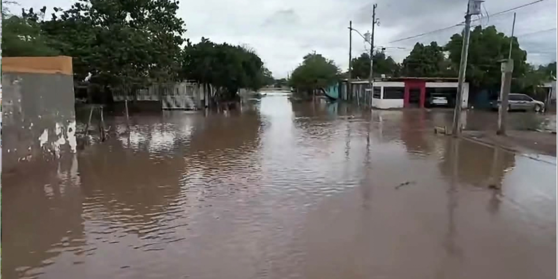 Lluvias afectan viviendas en Miguel Alemán; acumulan 60 milímetros