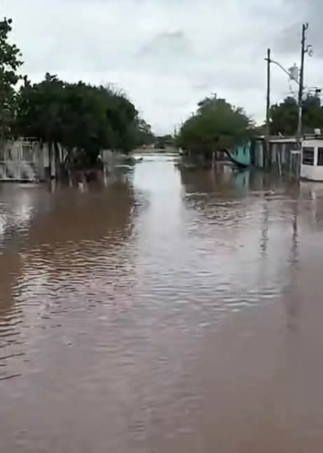 Lluvias afectan viviendas en Miguel Alemán; acumulan 60 milímetros
