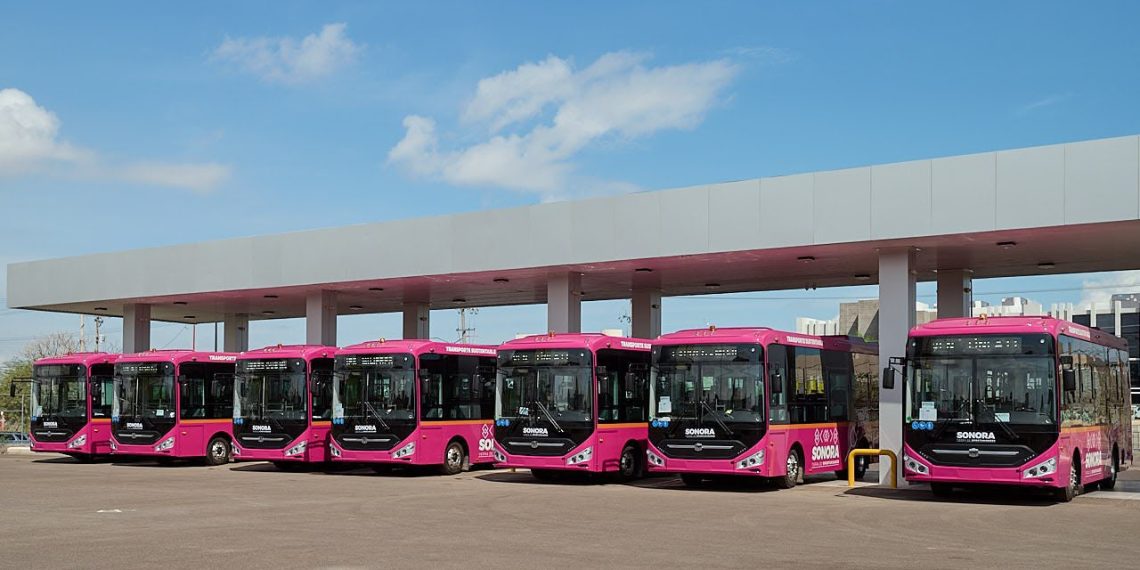 Gobernador Durazo transforma el transporte público: duplica la flota y alcanza 768 unidades en Sonora