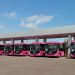 Gobernador Durazo transforma el transporte público: duplica la flota y alcanza 768 unidades en Sonora