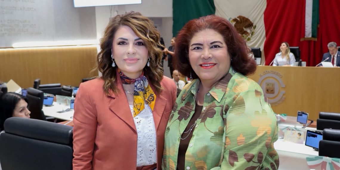 Por una maternidad digna, segura y libre de violencia: Alejandra López Noriega