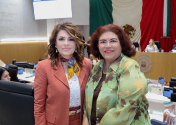 Por una maternidad digna, segura y libre de violencia: Alejandra López Noriega