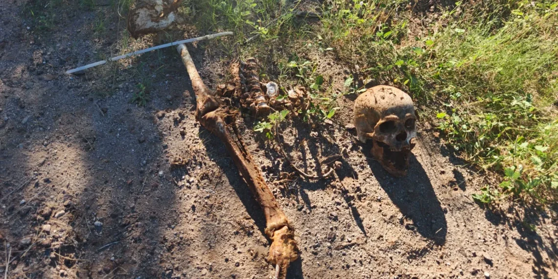 Integrantes de Madres Buscadoras de Sonora Localizan osamenta en predio del surponiente
