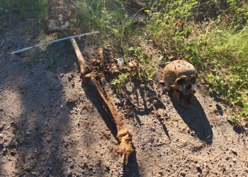 Integrantes de Madres Buscadoras de Sonora Localizan osamenta en predio del surponiente