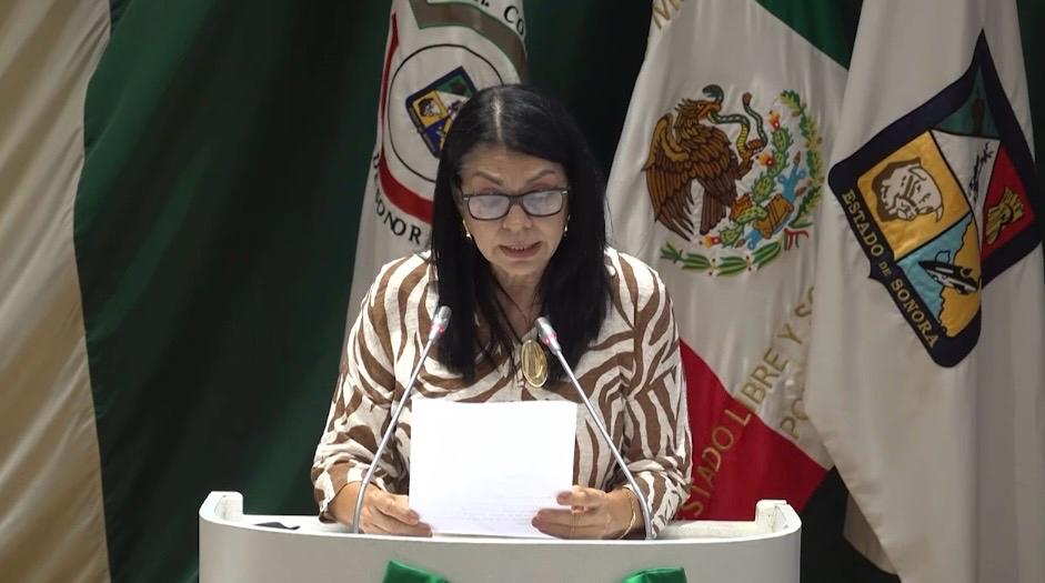 Diputada Ernestina Castro propone regular centros de atención a las adicciones