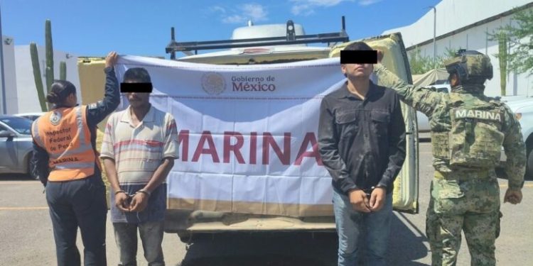 Caen dos en BCS con tres toneladas de almeja chocolata y fentanilo