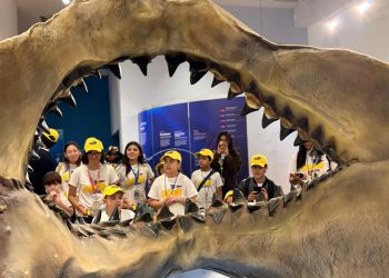 Viven niñas y niños del Club Teletón la experiencia “TIBURONES” que suma más de 15 mil visitantes