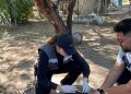 Refuerza Secretaría de Salud acciones para prevenir la rickettsia en Sonora
