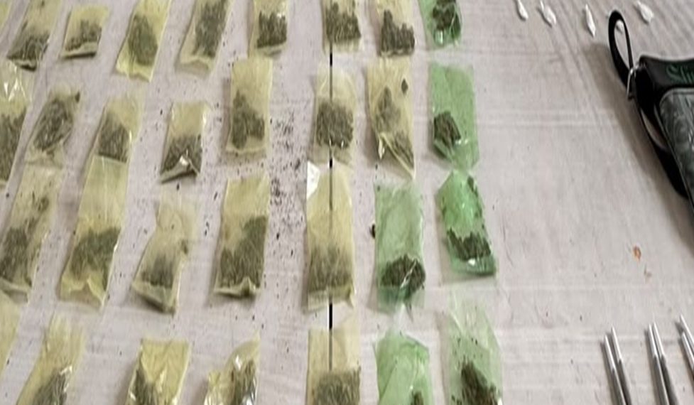 Operativo coordinado de la Policía Estatal detiene a dos hombres y asegura narcótico en Nogales