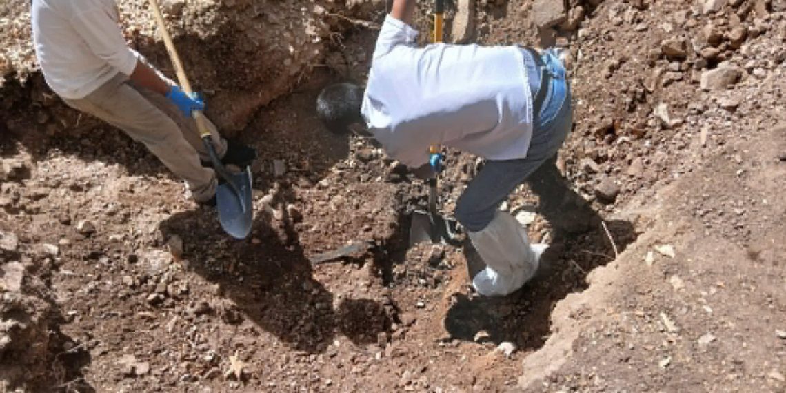 Colectivos encuentran siete osamentas durante búsquedas en la zona de Mariposa