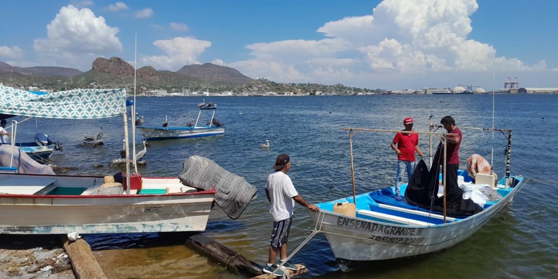 Crisis camaronera obliga a pescadores de Guaymas a buscar otras actividades