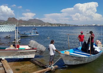 Crisis camaronera obliga a pescadores de Guaymas a buscar otras actividades