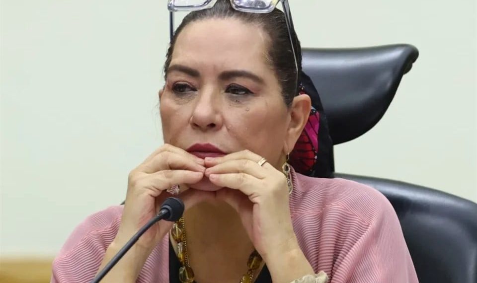 Presenta Taddei a Cámara de Diputados su renuncia al INE
