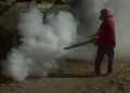 Refuerza Salud Sonora acciones contra el dengue en Pueblo Yaqui
