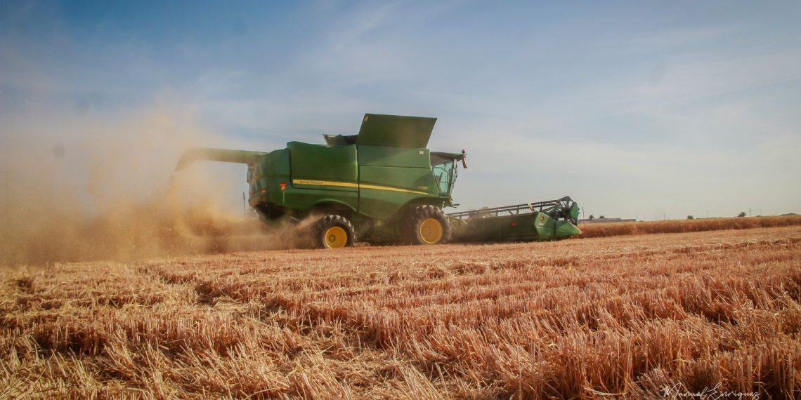 Promueve AGRICULTURA compras consolidadas de insumos y bioinsumos para trigo en Sonora
