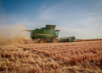 Promueve AGRICULTURA compras consolidadas de insumos y bioinsumos para trigo en Sonora