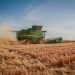 Promueve AGRICULTURA compras consolidadas de insumos y bioinsumos para trigo en Sonora