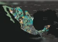 Reportan hasta 651 fosas en el País durante 2025