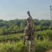 Van 500 militares de EU a frontera de McAllen con México