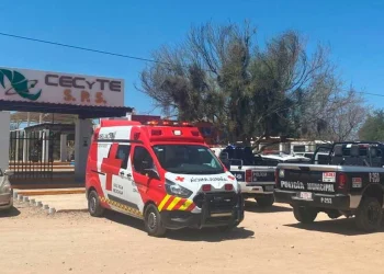 Fiscalía investiga agresión contra estudiante trans afuera de CECyTE en Hermosillo, Sonora