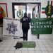 Mesa Estatal de Seguridad asegura más 70 mil dosis de droga y a 125 personas en operativos por Sonora